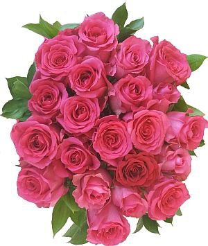 21 розовых роз вид сверху