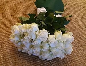 Цветы белых роз