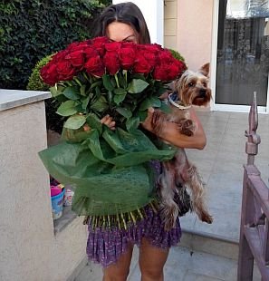 Красивая девушка с букетом из 99 красных роз